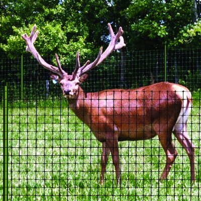 Deer Fence Company